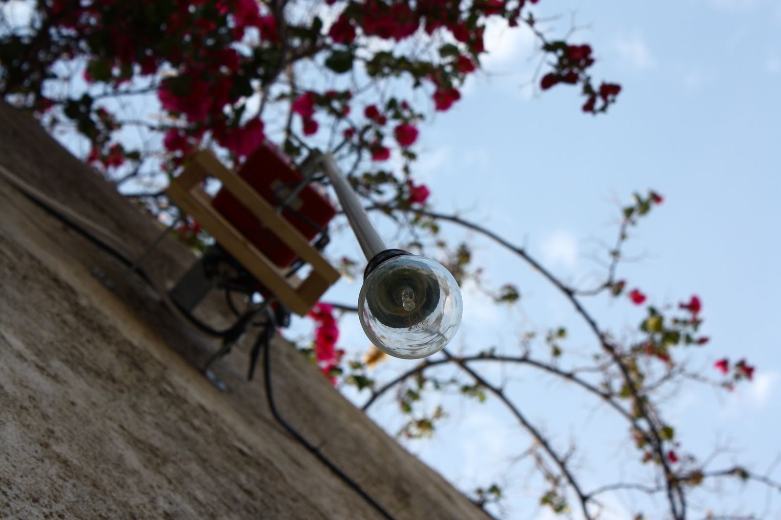 PENDULUM (8)